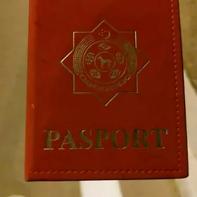 Pasport tapyldy  Eneş atly