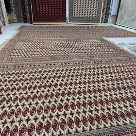 el haly Moşşy haly aberlok 5 m