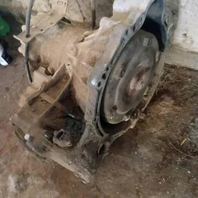 Samsyk kemri karopka.