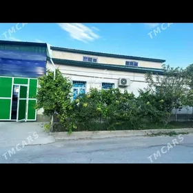 SATLYK JAÝ Büzmeýin