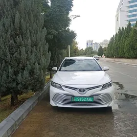 Toyota Camry 2019