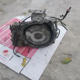 Babiçga 2.2 karopga