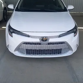 Toyota Corolla 2022