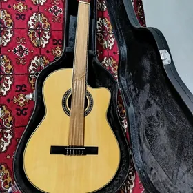 FUL PAKET ELEKTRO GITARA