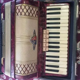 Akkardeon made in Germany