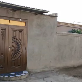 Satlyk jay  Tunderya