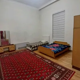Элитка Чехова Cehowa