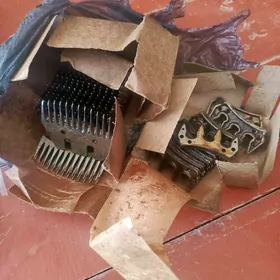 Goyun gyrkylygyň dişi