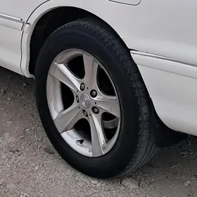 16-lyk mary diska teker