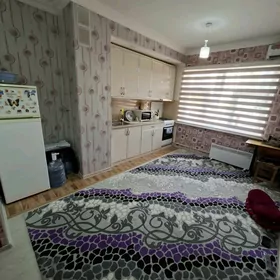 SATLYK 2 KOMNAT MIR 2