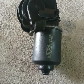 Dwornik matorçik  Toyota 2021