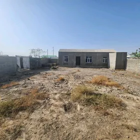 talhanny jaÿ howly tayn