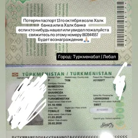 загран паспорт