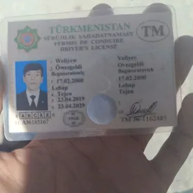 prawa yitdi
