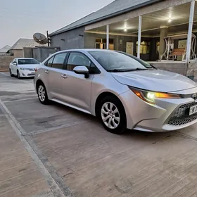 Toyota Corolla 2020