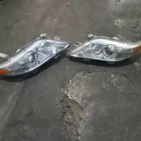 okuz kele on fara 2011