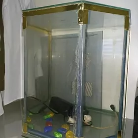 Аквариум