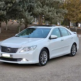 Toyota Aurion 2013