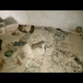 tofas dogan zapcaslary