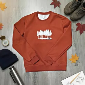 switer