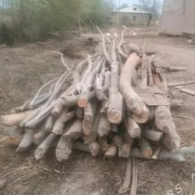 Сатлык Хадалар