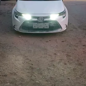 Toyota Corolla 2022