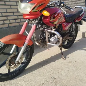 Fekon FK150-8G 2014