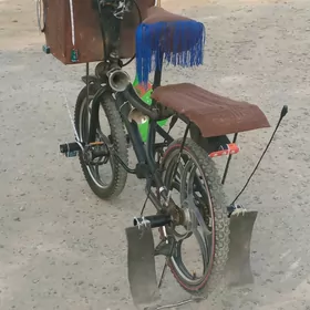 olimpia tigirolimpia tigir