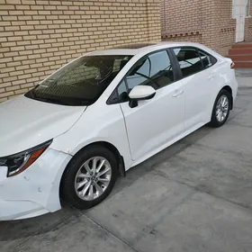 Toyota Corolla 2020