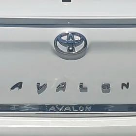 Awalon 06-12 bagaž nikeli