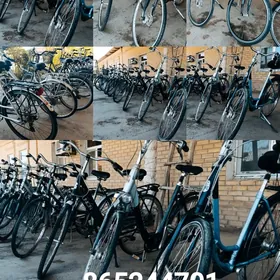 yaponiya hemde germaniya tigir