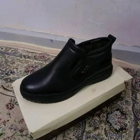 Sapok