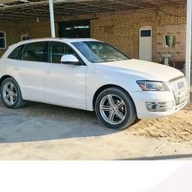 Audi Q5 2010