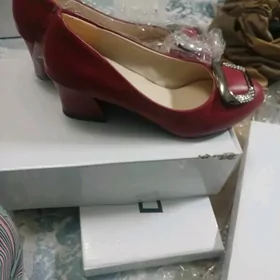 satlyk arzan kōwŭş