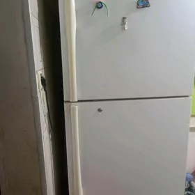 Holidilnik LG