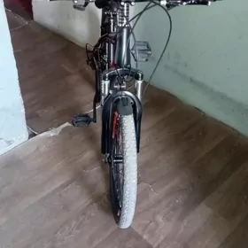 satlyk welsapet