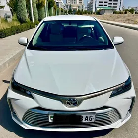 Toyota Corolla 2021