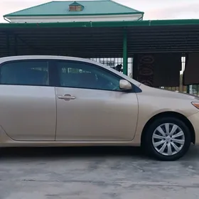 Toyota Corolla 2012