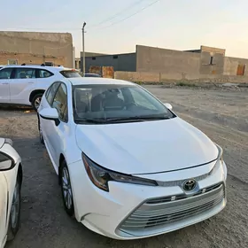 Toyota Corolla 2024