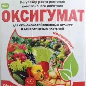 Oksigumat