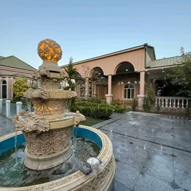 Coganly 12sotok howly