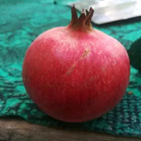 Нар. Гранат