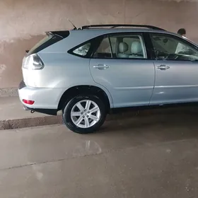 Lexus RX 330 2004
