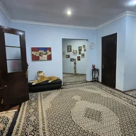 satlyk elitka 3kom arzan