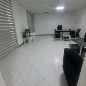 Arenda Berkarar ofis