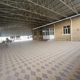 Satlyk jay Sakarcage