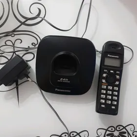 Panasonic