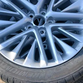 18 morda disga leksus