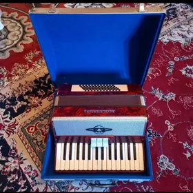 Аккордеон/ Akkordeon