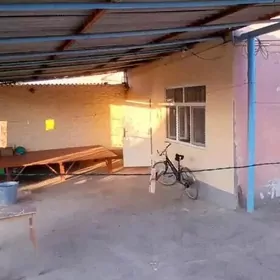 ️Eyesinden satlyk howly jay